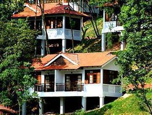 家庭住宅除濕黄91视频免费看