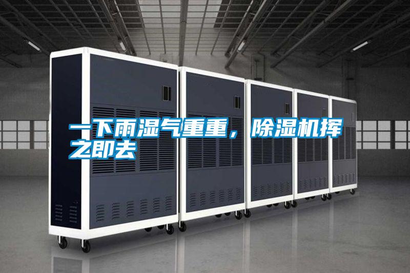 一下雨濕氣重重，91视频链接下载揮之即去