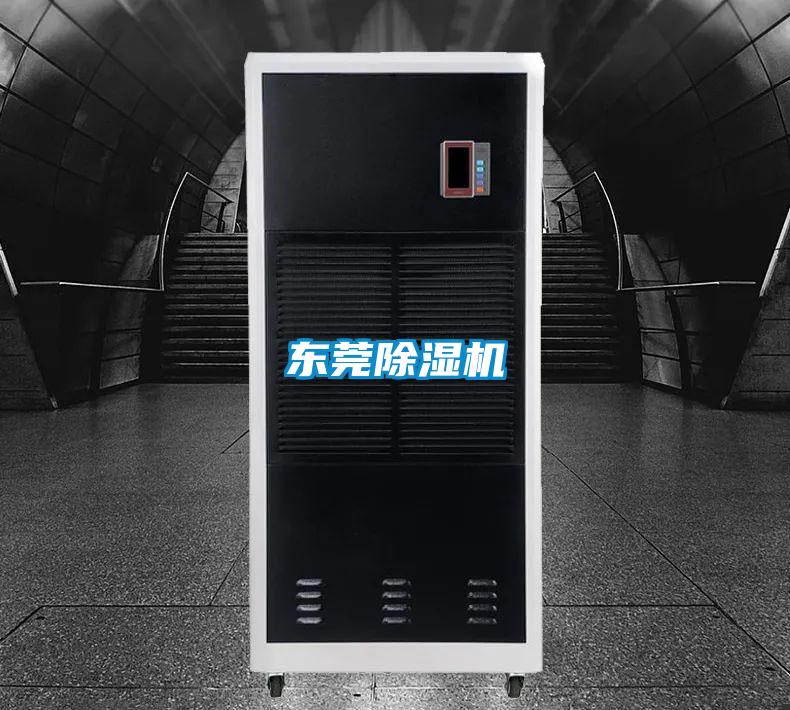 東莞91视频链接下载