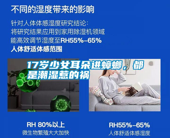 17歲少女耳朵進蟑螂，都是潮濕惹的禍