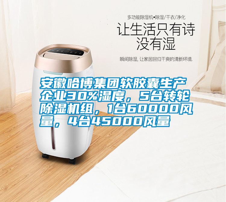 安徽哈博集團軟膠囊生產企業30%濕度，5台轉輪91视频链接下载組，1台60000風量，4台45000風量