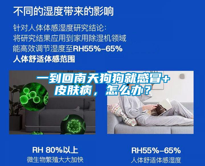一到回南天狗狗就感冒+皮膚病，怎麽辦？