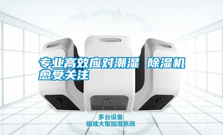 專業高效應對潮濕 91视频链接下载愈受關注