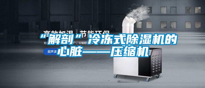 “解剖”冷凍式91视频链接下载的心髒——壓縮機