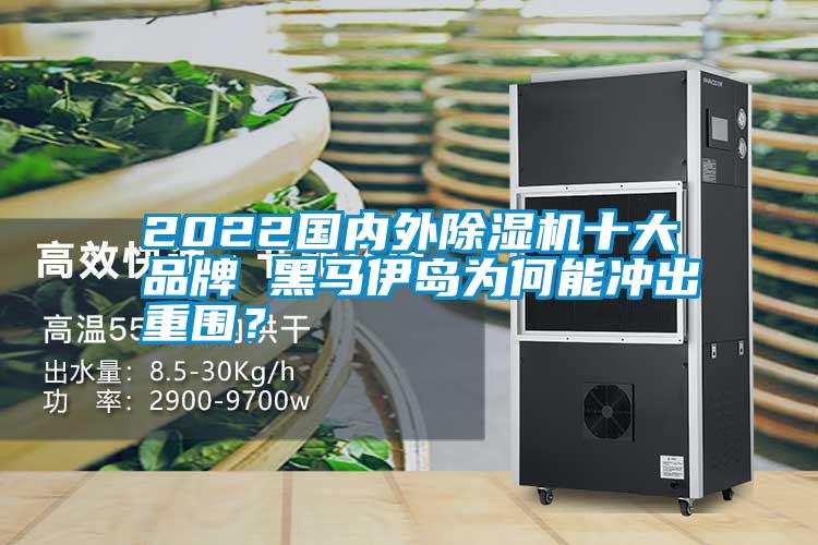 2022國內外91视频链接下载十大品牌 黑馬伊島為何能衝出重圍？