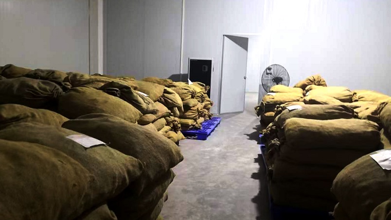 倉庫91视频链接下载在陳皮儲存過程中的應用