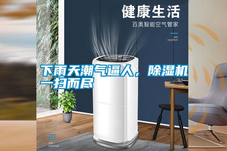 下雨天潮氣逼人，91视频链接下载一掃而盡