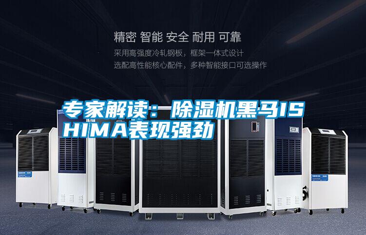 專家解讀：91视频链接下载黑馬ISHIMA表現強勁