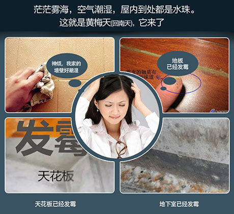 工業91视频链接下载廠家