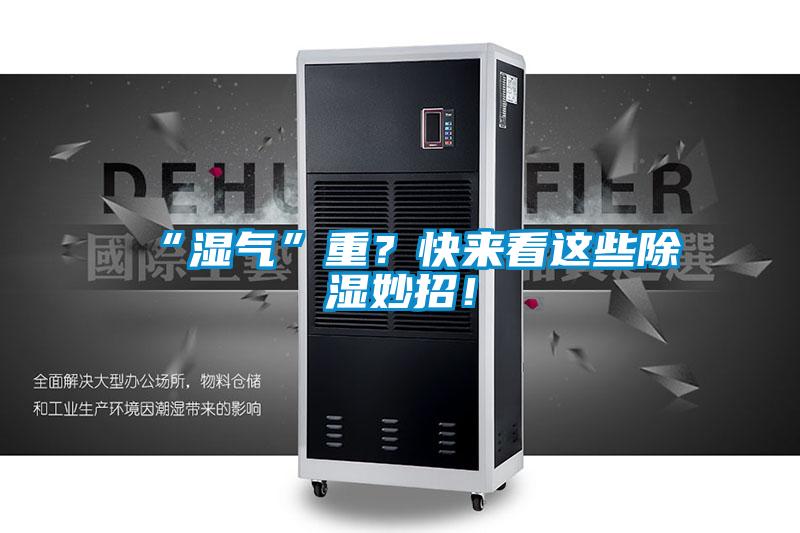 “濕氣”重？快來看這些除濕妙招！