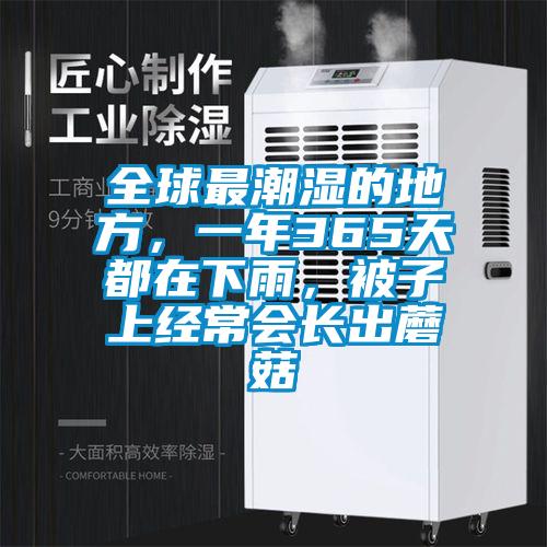 全球最潮濕的地方，一年365天都在下雨，被子上經常會長出蘑菇