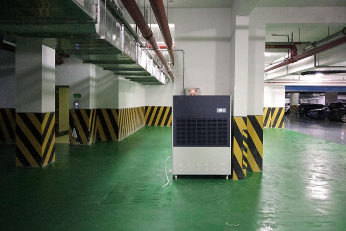 健康：春晨霧蒙蒙 除濕意更濃之