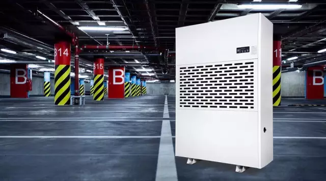 91视频链接下载,91视频链接下载