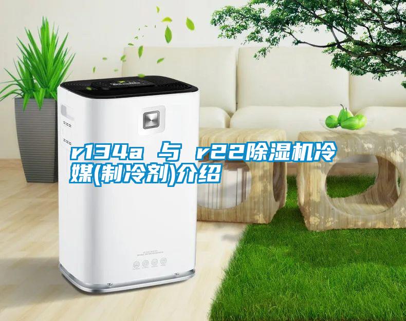 r134a 與 r2291视频链接下载冷媒(製冷劑)介紹