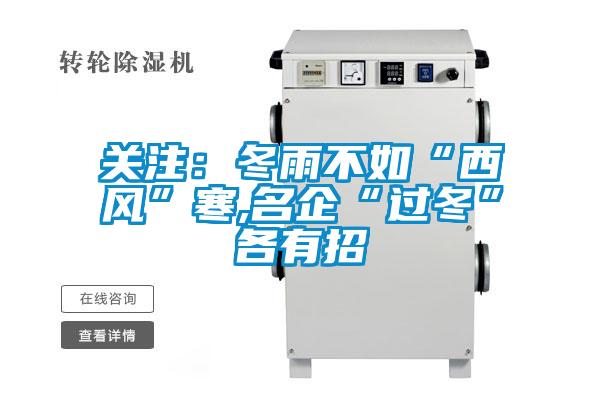 關注：冬雨不如“西風”寒,名企“過冬”各有招