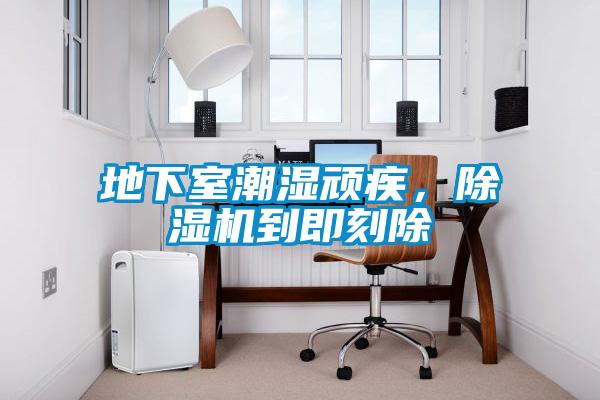 地下室潮濕頑疾，91视频链接下载到即刻除