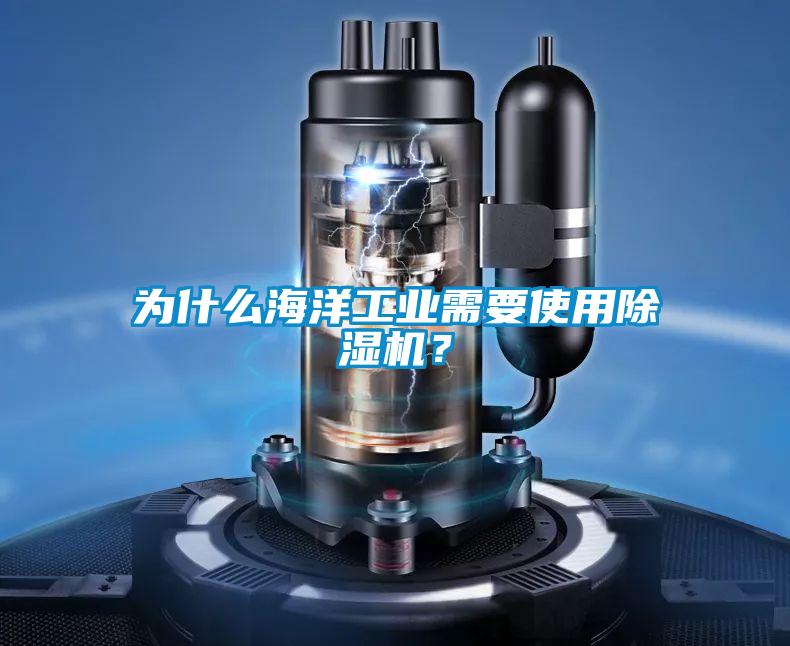 為什麽海洋工業需要使用91视频链接下载？