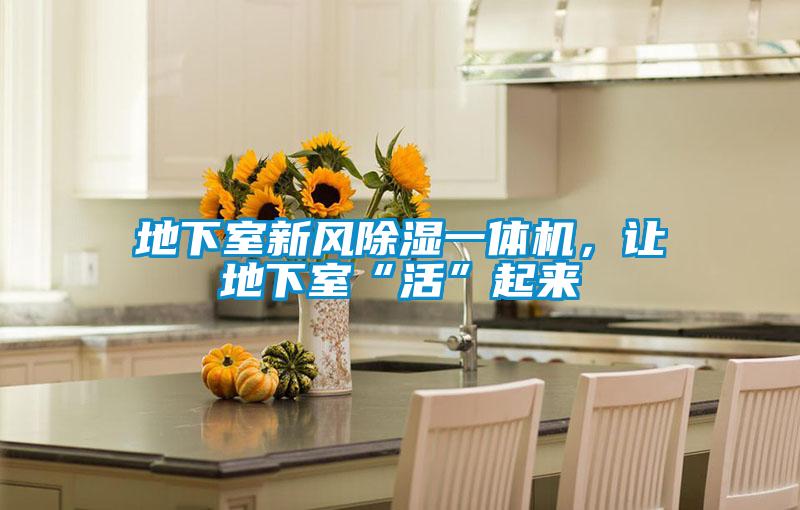 地下室新風除濕一體機，讓地下室“活”起來