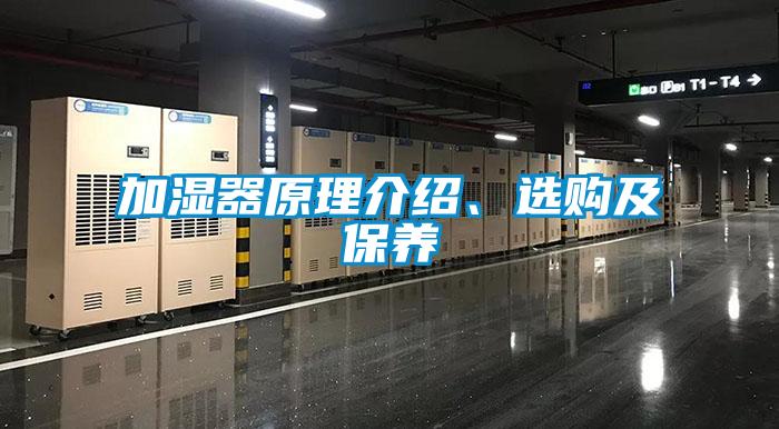 加濕器原理介紹、選購及保養