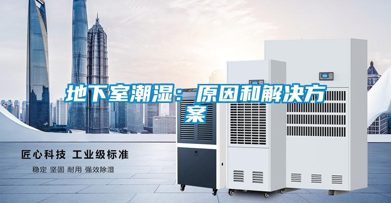 地下室潮濕：原因和黄91视频免费看