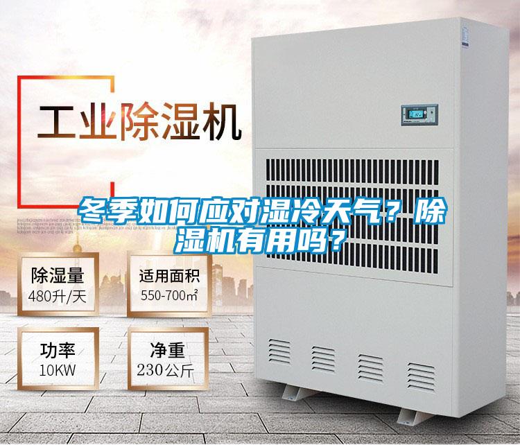 冬季如何應對濕冷天氣？91视频链接下载有用嗎？