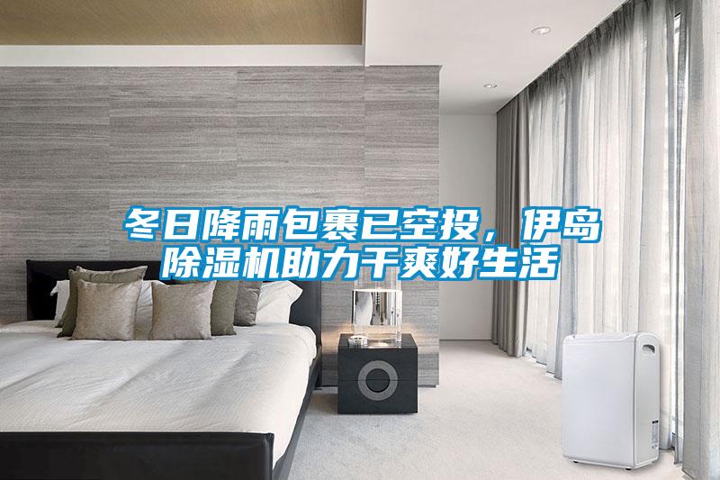 冬日降雨包裹已空投，伊島91视频链接下载助力幹爽好生活