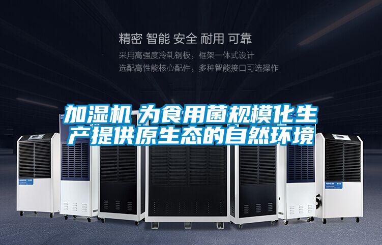 加濕機 為食用菌規模化生產提供原生態的自然環境