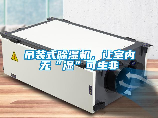 吊裝式91视频链接下载，讓室內無“濕”可生非