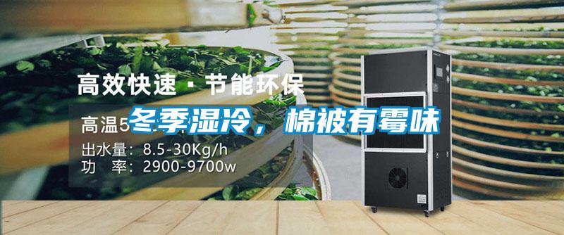 冬季濕冷，棉被有黴味