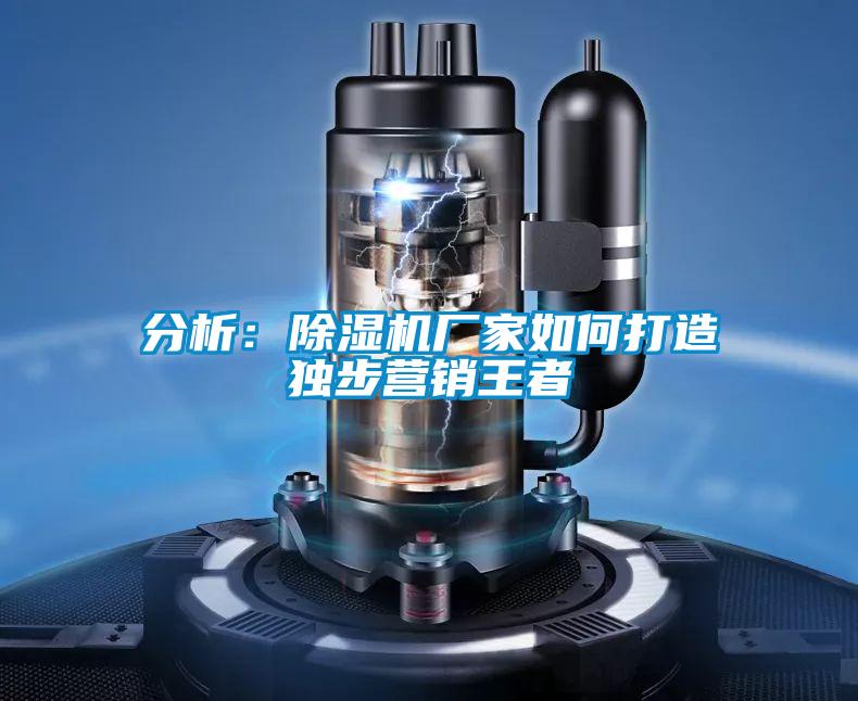 分析：91视频链接下载廠家如何打造獨步營銷王者