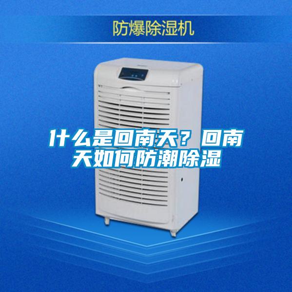什麽是回南天？回南天如何防潮除濕