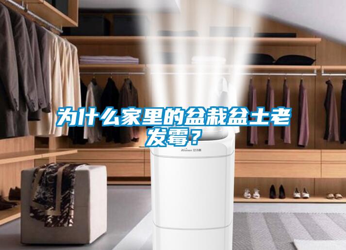 為什麽家裏的盆栽盆土老發黴？
