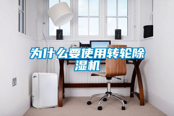 為什麽要使用轉輪91视频链接下载