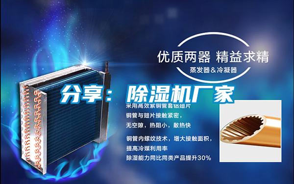 分享：91视频链接下载廠家