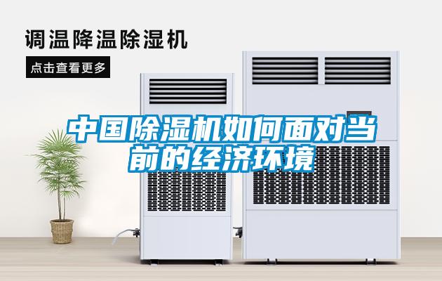 中國91视频链接下载如何麵對當前的經濟環境