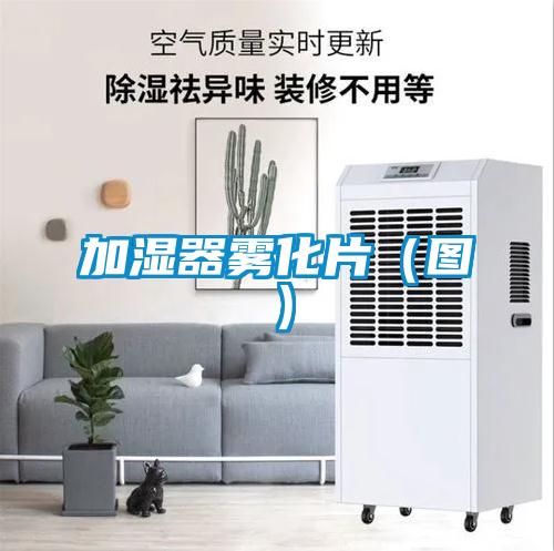 加濕器霧化片(圖)