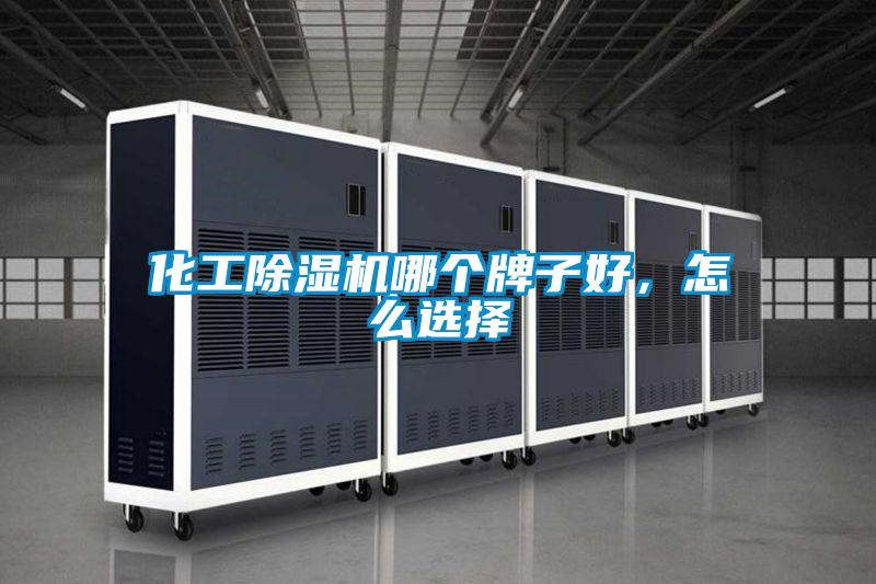 化工91视频链接下载哪個牌子好，怎麽選擇