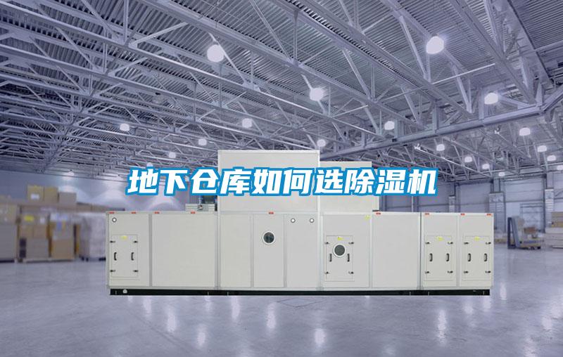 地下倉庫如何選91视频链接下载