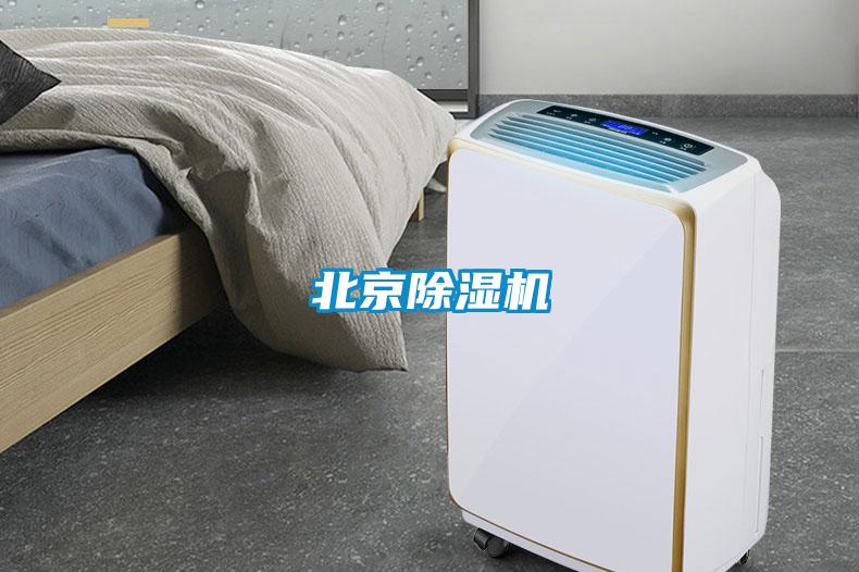 北京91视频链接下载