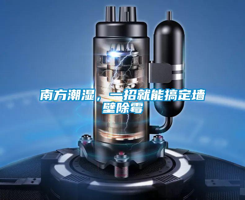 南方潮濕，一招就能搞定牆壁除黴