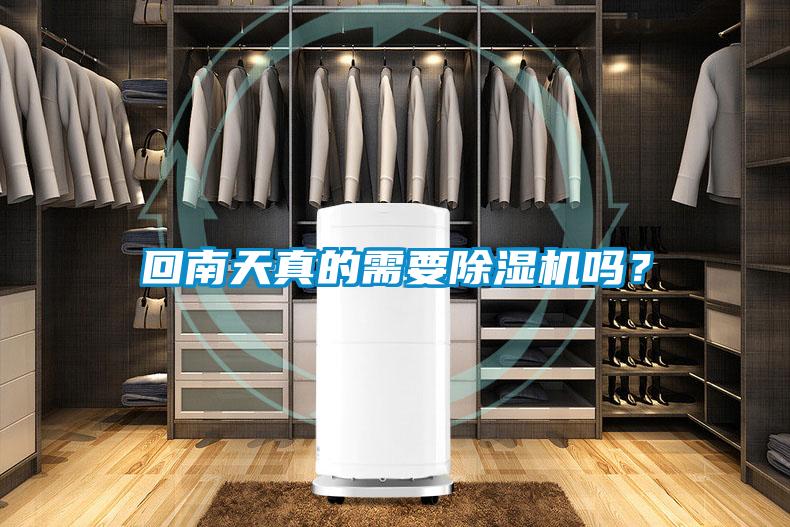 回南天真的需要91视频链接下载嗎？