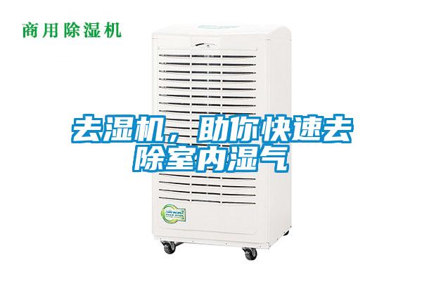 去濕機，助你快速去除室內濕氣