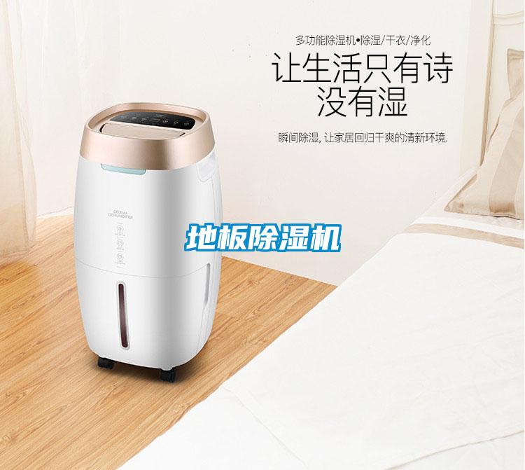 地板91视频链接下载