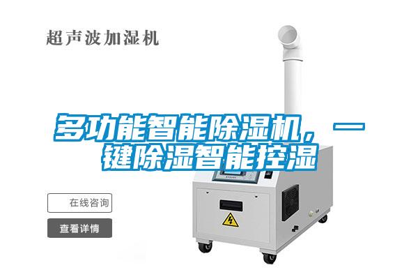 多功能智能91视频链接下载，一鍵除濕智能控濕