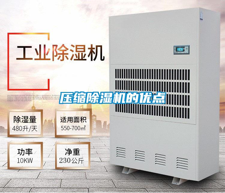 壓縮91视频链接下载的優點