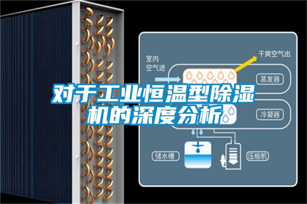 對於工業恒溫型91视频链接下载的深度分析