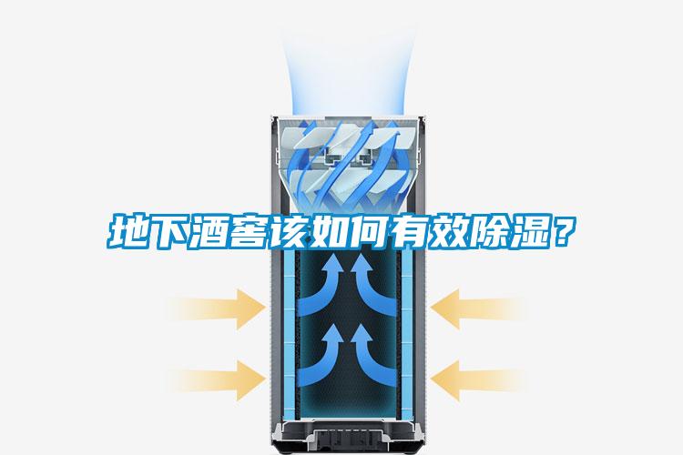 地下酒窖該如何有效除濕？