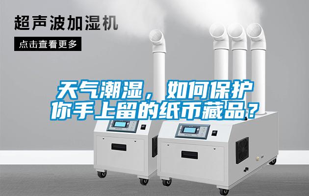 天氣潮濕，如何保護你手上留的紙幣藏品？