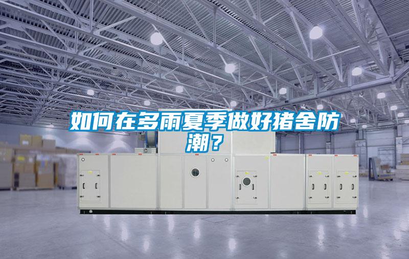 如何在多雨夏季做好豬舍防潮？