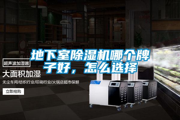 地下室91视频链接下载哪個牌子好，怎麽選擇